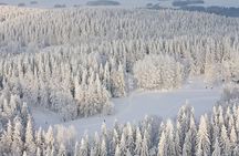 Winter Quad Bike Ride in the Arctic Circle from Rovaniemi 
