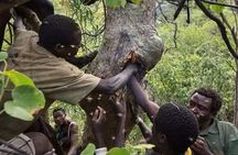 3-Days Private Lodge Safari to Lake Eyasi and Ngorongoro Crater