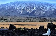 Small-Group Snaefellsnes, Mt. Kirkjufell & Black Sand Beach Tour from Reykjavik