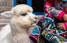Luxurious 4 Days to Machupicchu by Hiram Bingham Train From Cusco
