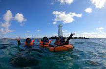 3 Hours VIP Semiprivate Tour Isla Mujeres Full Snorkeling Experience 