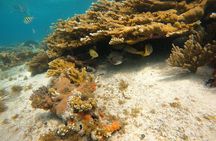3 Hours VIP Semiprivate Tour Isla Mujeres Full Snorkeling Experience 