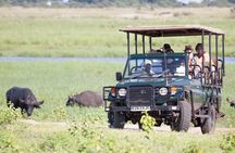 Boat Cruise And Game Drive in Chobe National Park 