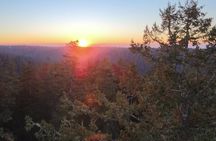 Sunset Tree Climb at Silver Falls State Park