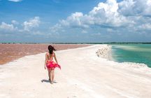 Paradisiacal tour: Las Coloradas Pink Lake and Rio Lagartos with Lunch included.