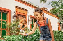 Xenses Tour with Transportation from Cancun & Playa del Carmen 