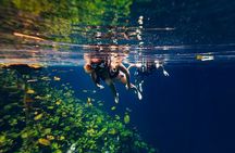 Tour Xenotes Advenure From Cancun & Playa del Carmen