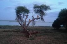 Ngorongoro, Manyara and Tarangire tour