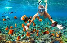 Speedboat & Snorkeling from Punta Cana