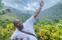 Private Blue Mountain tour from Ocho Rios