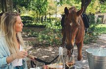 Half Day Horseback Wine Tour