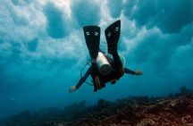 Scuba Diving (1st time) in Cancun Beginner's WELCOMED!