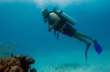 Scuba Diving (1st time) in Cancun Beginner's WELCOMED!