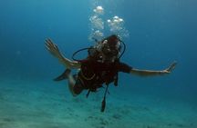 Scuba Diving (1st time) in Cancun Beginner's WELCOMED!