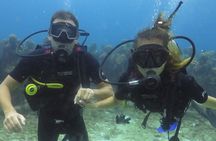 Scuba Diving (1st time) in Cancun Beginner's WELCOMED!