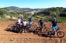 Guided Cycle Tourism Wine Tour by E-Bike on the Island of Elba "Arrighi"