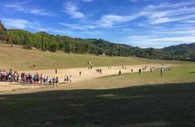 Ancient Olympia Private Full Day from Athens with Great Lunch & Drinks Included