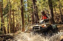 Quad Bike Ride in the Arctic Circle from Rovaniemi