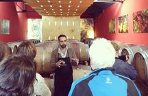 Cesani Wine Experience
