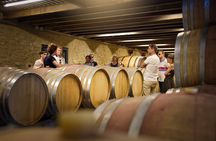 Visit of the cellars of Château Gigognan with tasting