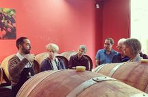 Cesani Wine Experience