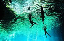 Tulum: Ruins, Reef & Cenote Small Group Day Trip