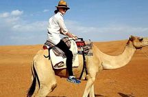 7-8 Hours Private Desert Adventure Trip with Activities