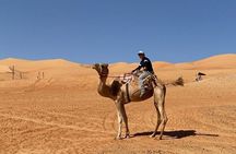 7-8 Hours Private Desert Adventure Trip with Activities