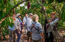 Churute Mangrove Ecological Reserve and Cocoa Farm