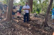 Tulum, Coba, Cenote Xikbal and Playa Del Carmen! Deluxe 4x1 Tour