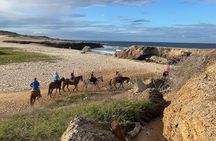 2-Hour Horseback Riding Tour to Little Natural Bridge in Aruba