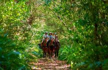 Horseback Riding on the Beach Free Transportation