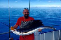Half Day Fishing Experience from John's Pass in Madeira Beach, FL - 5 Hours