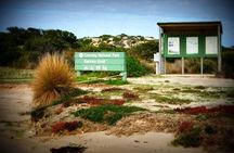 Coorong 3 & 1/2 Lunch Cruise and Tour