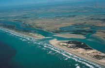 Coorong 3 & 1/2 Lunch Cruise and Tour