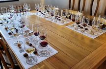 Small Group Hunter Valley Wine Tour w Lunch, Gin, Cheese & Choc