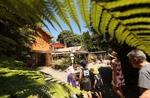 Captivating Railway Journey in Coromandel 