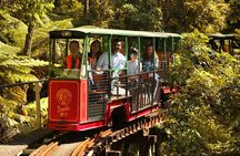 Captivating Railway Journey in Coromandel 