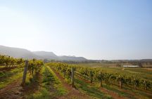 Small Group Hunter Valley Wine Tour + Lunch, Gin & Choc ex Sydney