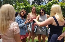 Hunter Valley Wine, Gin, Cheese & Chocolate Tour from Newcastle