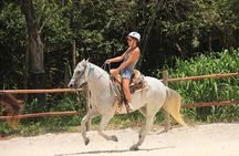 Full Day Adventure: Horses , ATV, Ziplines & Cenote w/Lunch