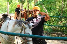 Full Day Adventure: Horses , ATV, Ziplines & Cenote w/Lunch