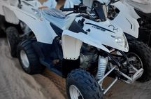 Dubai Desert Safari with Quad Bike, Camel Ride, Dinner and Shows