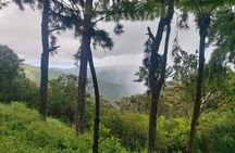 Private Hiking Experience in Black River Gorges National Park