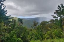Private Hiking Experience in Black River Gorges National Park