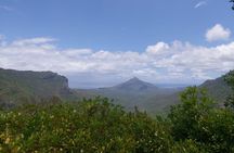 Private Hiking Experience in Black River Gorges National Park