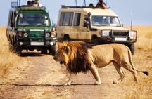 Dubai Safari Park With Transfer