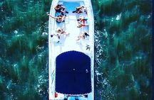 90 Minute Hilton Head Dolphin Tour