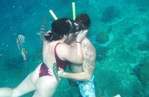 Cozumel Snorkel at El Cielo & 2 Reefs! Transportation from Tulum