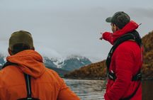 Arctic Fjordcruise & Safari in Tromso with Luxury Catamaran 